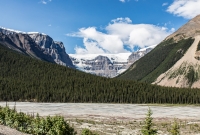 Jasper - Day 1-6
