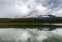 Jasper - Day 2-15