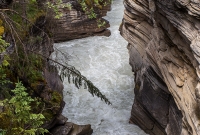 Jasper - Day 2-18