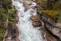 Jasper - Day 3-33