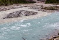 Jasper - Day 4-39
