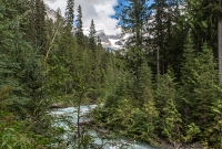 Jasper - Day 4-48