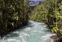 Jasper - Day 4-50