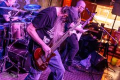 Joe-Kesselring-40-Ironbark-Brewing-2026-14