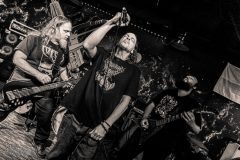 Joe-Kesselring-40-Ironbark-Brewing-2026-46