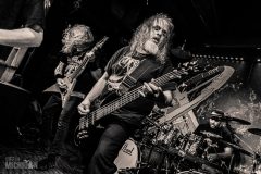 Joe-Kesselring-40-Ironbark-Brewing-2026-59