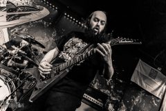 Joe-Kesselring-40-Ironbark-Brewing-2026-60