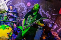 Joe-Kesselring-40-Ironbark-Brewing-2026-69