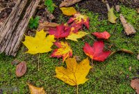 Jordan-River-Valley-Fall-2022-10