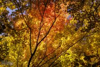 Jordan-River-Valley-Fall-2022-11