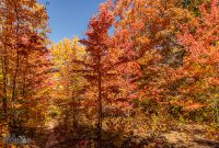 Jordan-River-Valley-Fall-2022-12