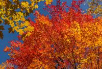 Jordan-River-Valley-Fall-2022-14