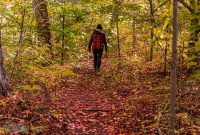 Jordan-River-Valley-Fall-2022-16