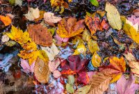 Jordan-River-Valley-Fall-2022-18