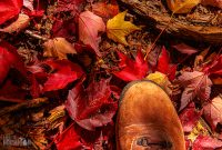 Jordan-River-Valley-Fall-2022-21