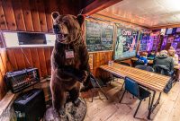 Snow Jog 2025 - Louie's Trophy House