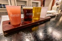 Apoptosis Brewing -Peace, Love & Little Donuts and Beer pairing