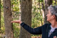 Kensington-Metro-Park-Birds-Fall-2025-10