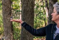 Kensington-Metro-Park-Birds-Fall-2025-11