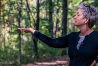 Kensington-Metro-Park-Birds-Fall-2025-16