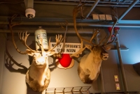 Caribou mounts at Griffin Claw Brewing
