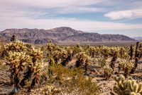 LaQuinta-2021-117