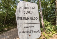 Nordhouse Dunes