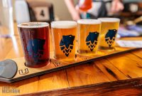 Lake-Superior-Beer-Tour-Ursa-Minor-Brewing-4