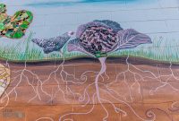 Lake-Superior-Circle-Tour-Ashland-Bayfield-24