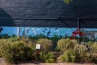Lake-Superior-Circle-Tour-Duluth-51
