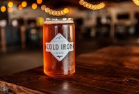 Lake-Superior-Circle-Tour-Ironwood-39