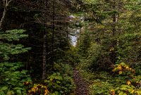 Lake-Superior-Circle-Tour-Terrace-Bay-14