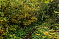 Lake-Superior-Circle-Tour-Terrace-Bay-18
