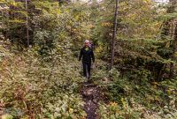 Lake-Superior-Circle-Tour-Terrace-Bay-8