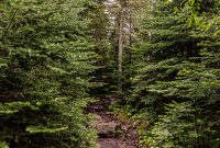 Lake-Superior-Circle-Tour-Thunder-Bay-14