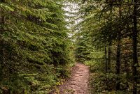 Lake-Superior-Circle-Tour-Thunder-Bay-15