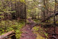 Lake-Superior-Circle-Tour-Thunder-Bay-17