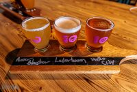 Lake-Superior-Circle-Tour-Thunder-Bay-42