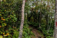 Lake-Superior-Circle-Tour-Two-Harbors-2