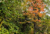 Lake-Superior-Circle-Tour-Two-Harbors-4