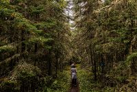 Lake-Superior-Circle-Tour-Wawa-5
