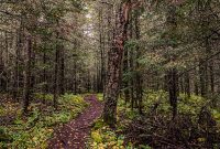 Lake-Superior-Circle-Tour-Wawa-8