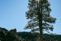 Lassen Volcanic National Park - Cinder Cone - 2014