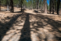 Lassen Volcanic National Park - Cinder Cone - 2014