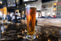 Latitude 42 Brewing - Kalamazoo - 2015-3