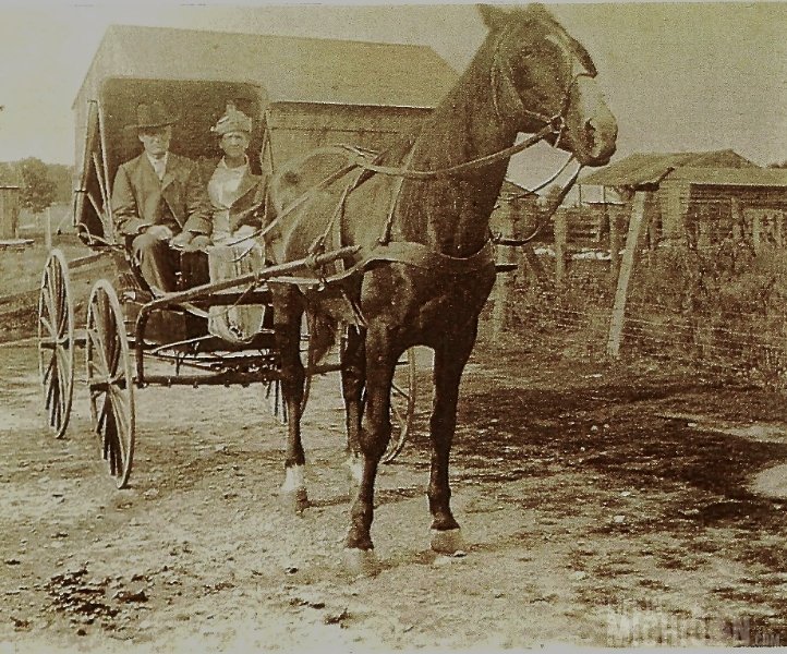 Mary and William Lewick 1914