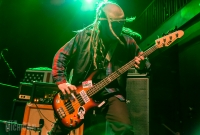 LodyKong-Crofoot-Pontiac_MI-20150422-ChuckMarshall-006