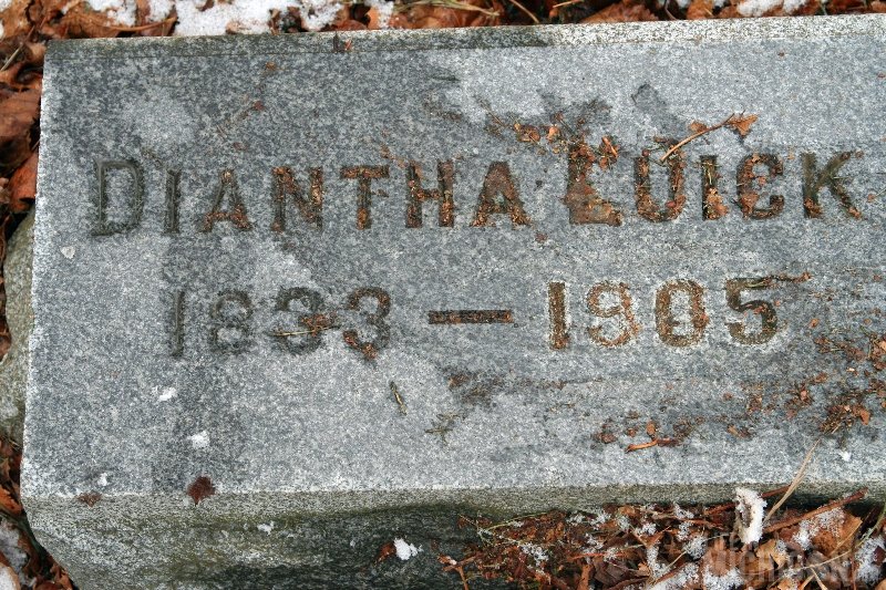 Diantha Luick 1833 - 1905 