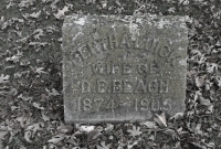 Bertha Luick (wife of D.E. Beach)