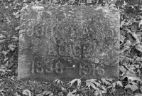 John David Luick 1838 - 1916